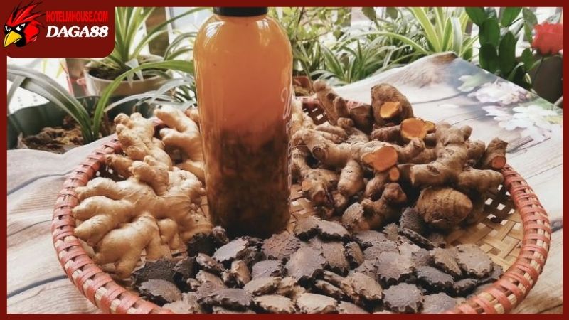 Tầm quan trọng của rượu bóp gà chọi trong quá trình nuôi