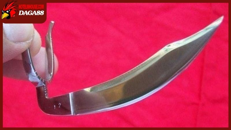 Xem cựa gà đá thông qua một số loại gắn rời thông dụng