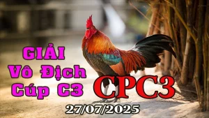 Clip Gà Đá Giải Cúp C3 Vô Địch Ngày 27/07/2025