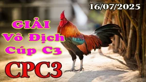 Clip Gà Đá Giải Vô Địch Cúp C3 Ngày 16/07/2025